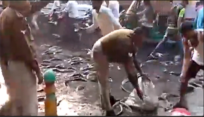 Kanpur Viral Video : जब सड़क पर तैरने लगी मछलियां