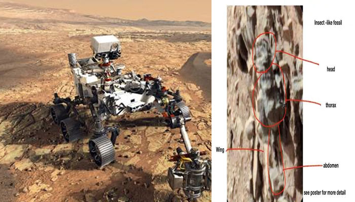 मंगल पर मिली डेड बॉडी, इस वैज्ञानिक ने रिसर्च कर दुनिया को दिया सबूत