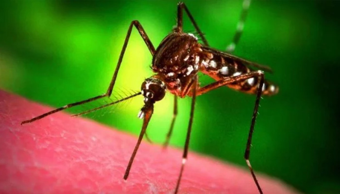 यूपी के मुख्य सचिव ने दिए डेंगू की रोकथाम के लिए यह निर्देश