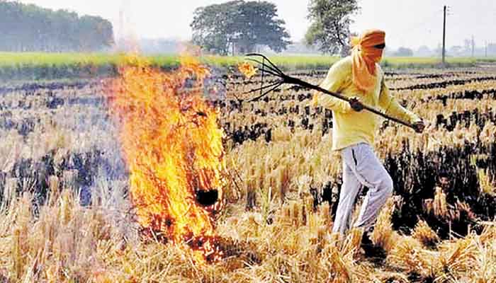 पराली जला रहे अन्नदाता की भी मजबूरी समझें