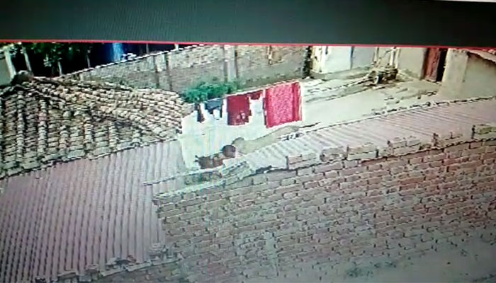 अमेठी में सरकारी पोषाहार खा रहे गाय और कुत्ते, CCTV फुटेज वायरल