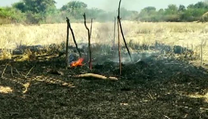 दर्दनाक हादसा: घास में लगी आग, चली गई 3 बच्चियों की जान