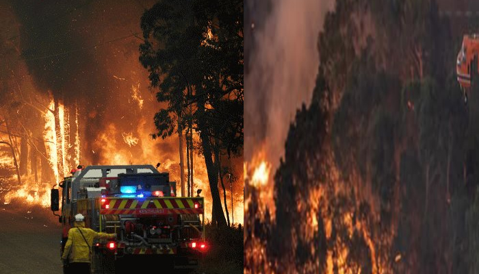 आस्ट्रेलिया में भीषण आग ने मचाई तबाही, 48 करोड़ पशु-पक्षियों की मौत, तस्वीरें देख कांप जाएंगे