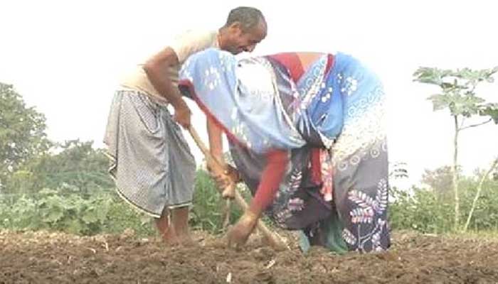 बुंदेलखंड के सात जनपदों में किसान मित्र परियोजना की बल्ले बल्ले