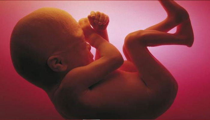 गर्भस्थ भ्रूण पर बड़ा खुलासा: वैज्ञानिकों ने किया ऐसा दावा...
