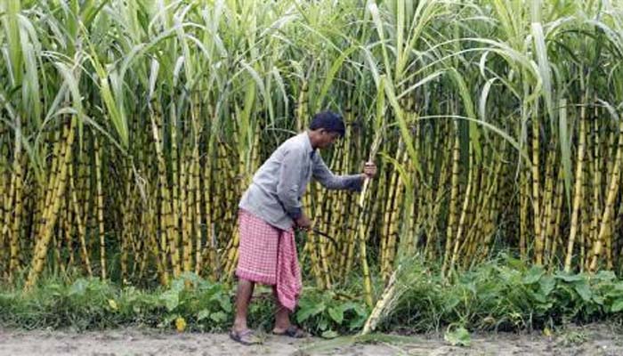 विधान परिषद में गन्ना मूल्य भुगतान को लेकर सपा का हंगामा, वाकआउट