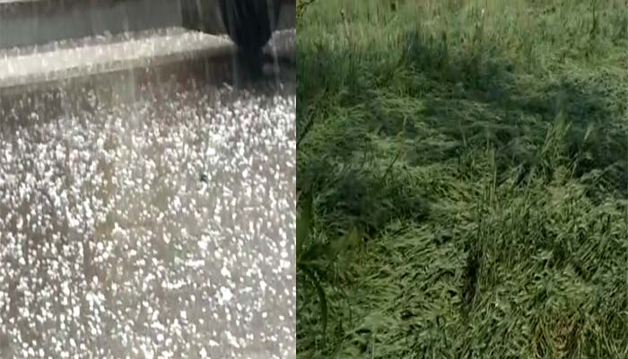 ओलावृष्टि का कहर: बेमौसम बरसात ने किया किसानों का बड़ा नुकसान