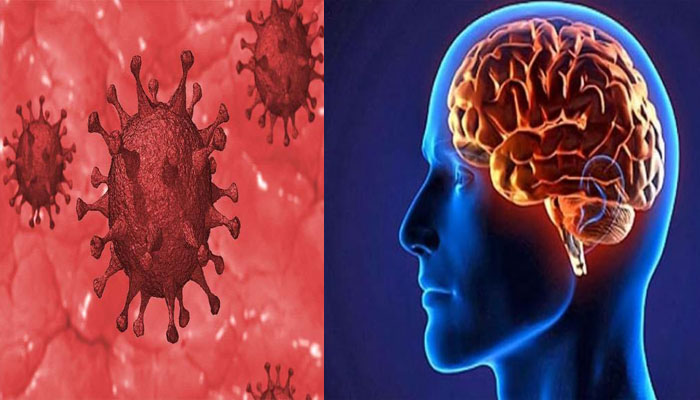 जरूरी जानकारी: क्या दिमाग पर भी पड़ रहा कोरोना वायरस का असर