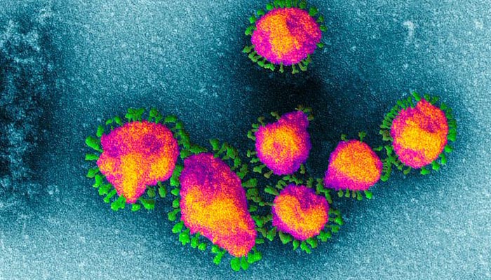 वैज्ञानिकों ने बताया, आखिर कब तक खत्म होगा कोरोना वायरस