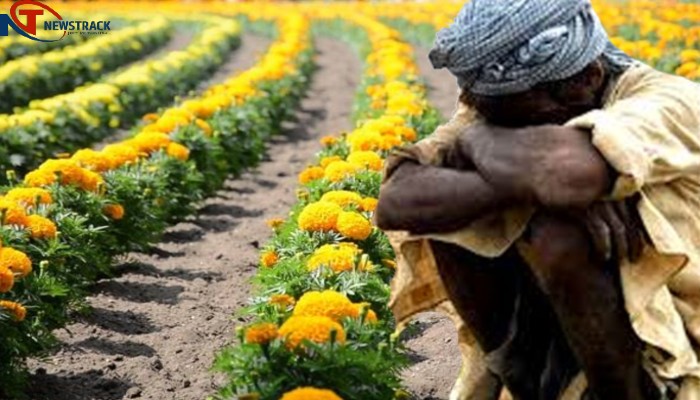फूलों ने कर दिया लोगों को बर्बाद: कारखाने बंद, कर्जदार हुए किसान