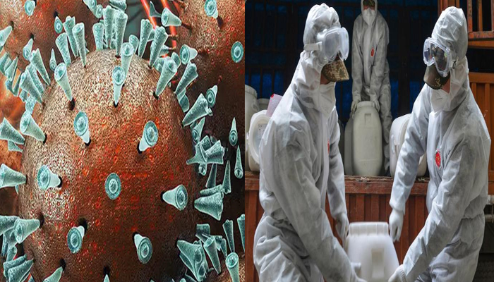 कोरोना संकट: WHO ने दी चेतावनी, कहा- दोबारा हमला कर सकता है वायरस