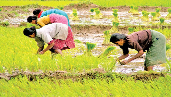 किसानों की बल्ले-बल्ले, प्रधानमंत्री मोदी की पुरानी योजना से अब मिल रहा फायदा