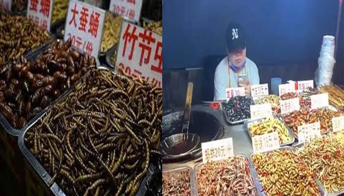 कोरोना: चीन में 70 दिन बाद खुली तले हुए कीड़ों वाली मशहूर मार्केट