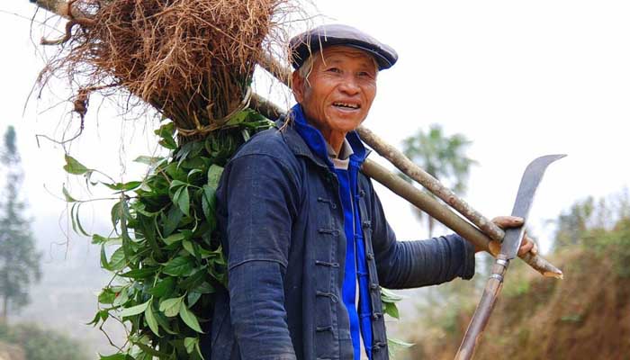 कोरोना ने बदल दी चीन के किसानों की किस्मत
