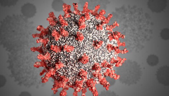 अब इस बैक्टीरिया से मारा जाएगा कोरोना वायरस, शोधकर्ताओं ने की महत्वपूर्ण खोज