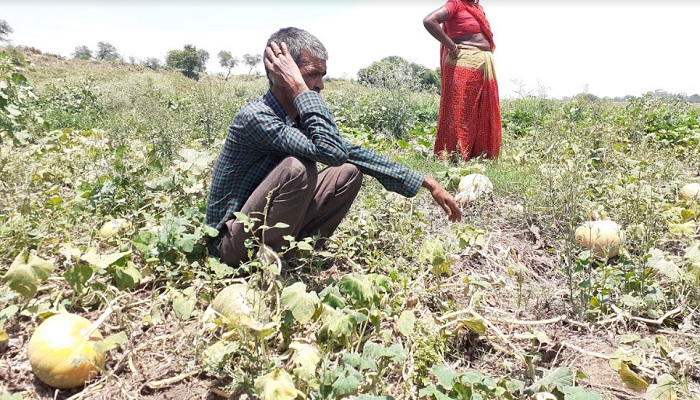खून के आंसू रो रहे, लॉकडाउन में बर्बाद हुए बुंदेलखंड के किसान