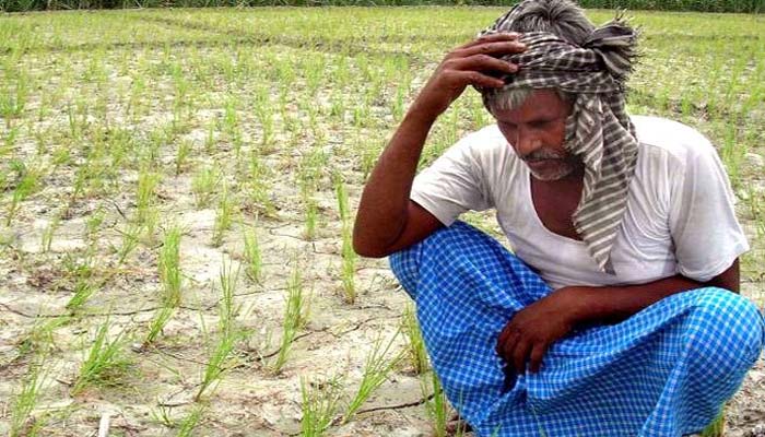किसानों की समस्या: नरेंद्र सिंह तोमर ने कहा कर्जमाफी समस्या का हल नहीं