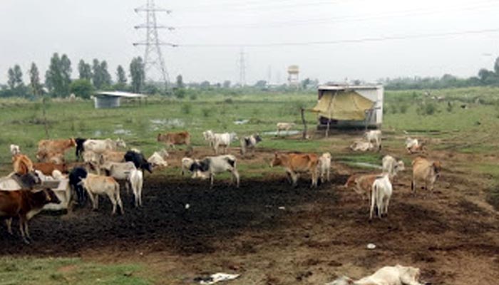 अब यहां दफन किये जाएंगे शव, सरकार ने की नई व्यवस्था