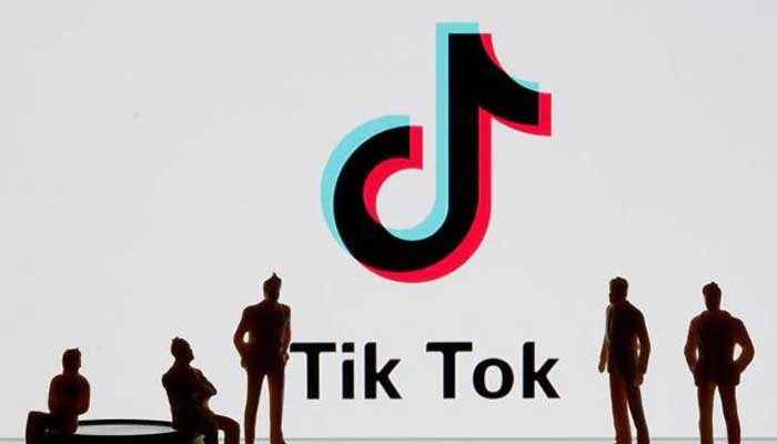 बुरे फंसे TikTok स्टार्स: इन पांच को हुई 2-2 साल की जेल, लगा ऐसा आरोप