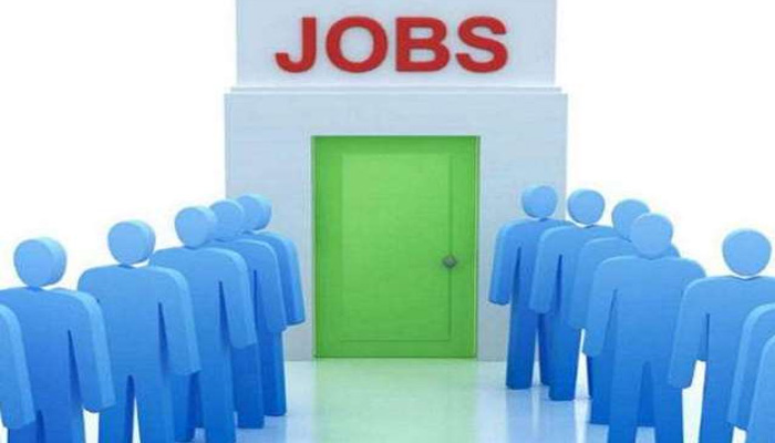 नौकर ही नौकरी: इन योजनाओं के तहत जिले में ही मिल रहा रोजगार, आप भी जानें