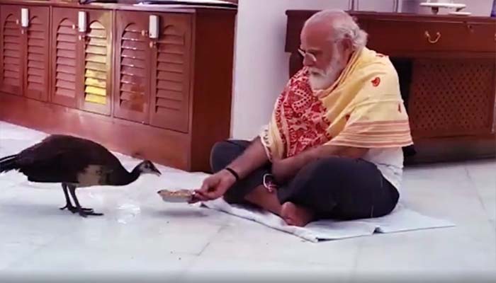 पीएम नरेंद्र मोदी की मोर को दाना खिलाते हुए फोटो