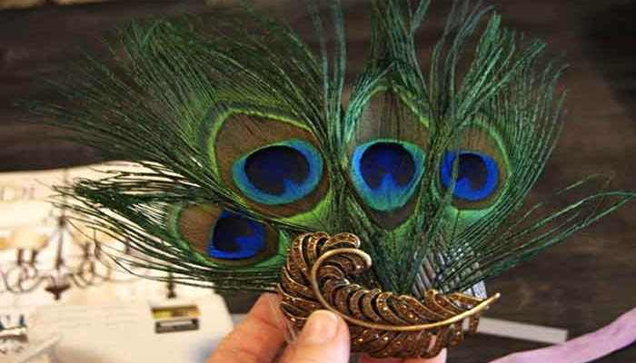Peacock feather file