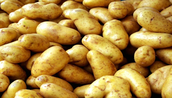 Potato price