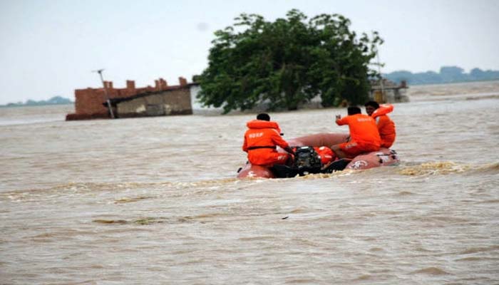 बाढ़ से तबाही: उफनाई नदियां ढा रहीं कहर, कई तटबंध क्षतिग्रस्त