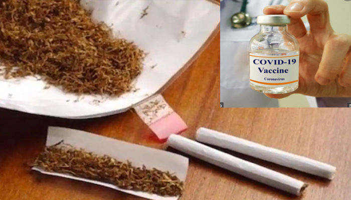तंबाकू से कोरोना वैक्सीन बना रही ये कंपनी, ह्यूमन ट्रायल के लिए मांगी इजाजत