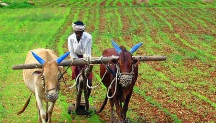 किसान भाइयों के लिए बड़ी खबर, KCC पर 31 अगस्त तक ही मिल रहा ब्याज पर छूट