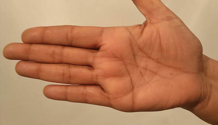 hands palmistry