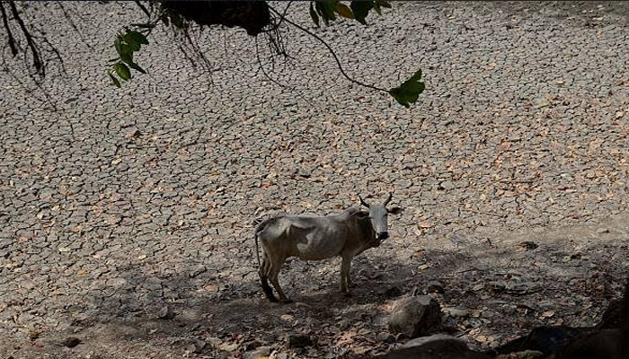 बारिश का अकाल: नहीं हो रही बुन्देलखण्ड में बरशात, हर तरफ है सूखा