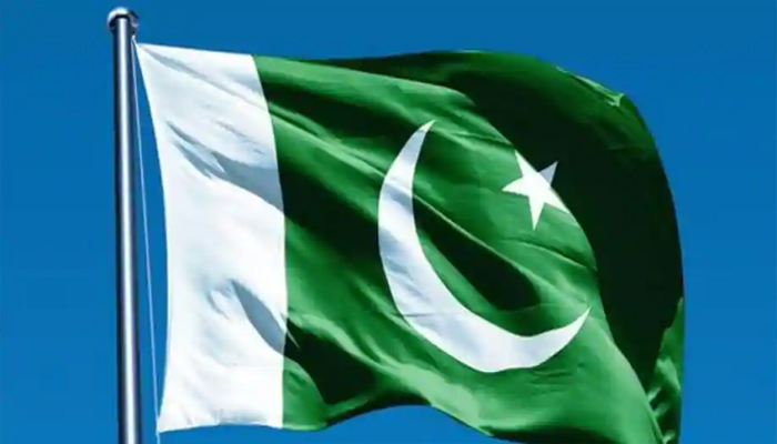 भारत ने खोली पाकिस्तान की पोल, भाड़े के आतंकियों की बात को हास्यास्पद बताया