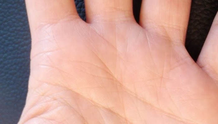 hands palmistry