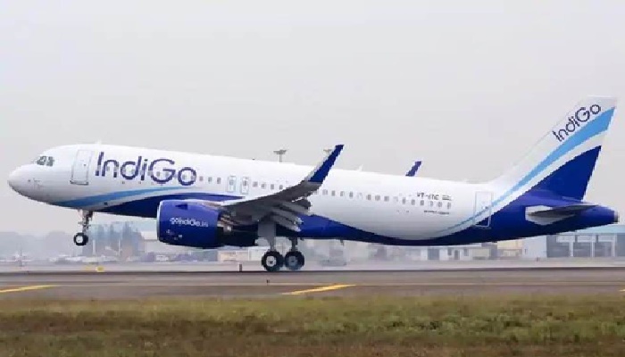 बड़ा हादसा टला: Indigo फ्लाइट से टकराया पक्षी, मुंबई से दिल्ली जा रहा था विमान