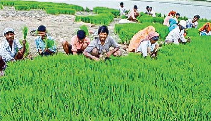 किसानों पर बड़ा एलान: मोदी सरकार ने दी राहत, कृषि मंत्री ने की थी मांग
