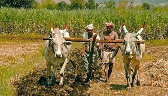 Shivpal yadav supports farmers' Bharat bandh-5