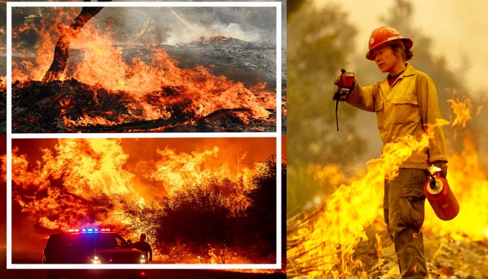जल उठा अमेरिका: भयानक आग से घिरा देश, कई मौतों से मचा कोहराम