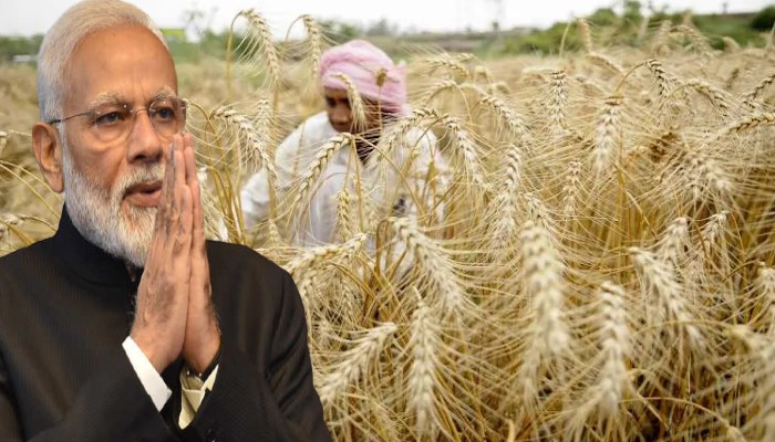 किसानों को राहत: मोदी सरकार का तोहफा, गेहूं समेत सभी रबी फसलों पर MSP बढ़ाई