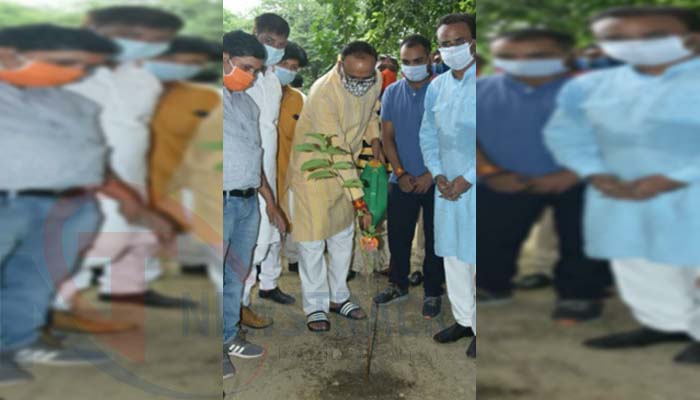 पीएम मोदी जन्म दिवस सेवा सप्ताह: मंत्री बृजेश पाठक ने किया पौधरोपण, देखें तस्वीरें