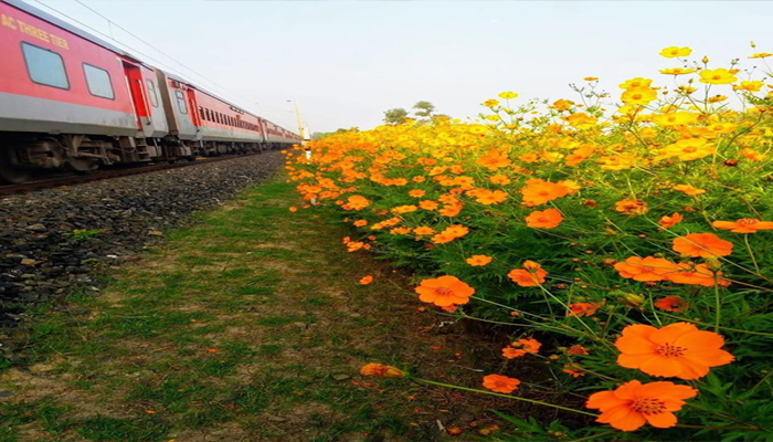 दुनिया में नहीं मिलेंगे ऐसे प्राकृतिक नजारे जो दिखाती है भारतीय रेल