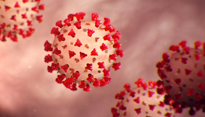 कोरोना पर वैज्ञानिकों का बड़ा दावा: ऐसे नहीं फैलता है वायरस, जानकर हो जाएंगे दंग