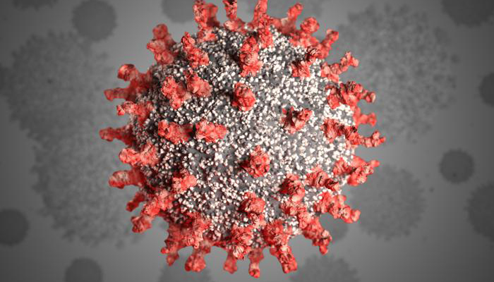 Coronavirus