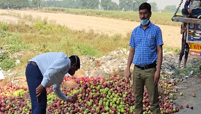 Rotten apples sold from Himachal Pradesh to UP destroyed by Food Officer