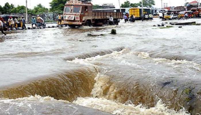 bihar flood- snake in gopalganj-3