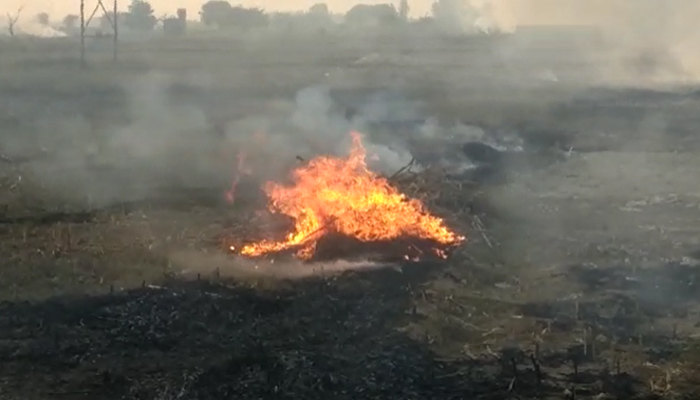 प्रदूषण को लेकर योगी सरकार हुई सख्त, पराली जलाने पर होगी दर्ज FIR