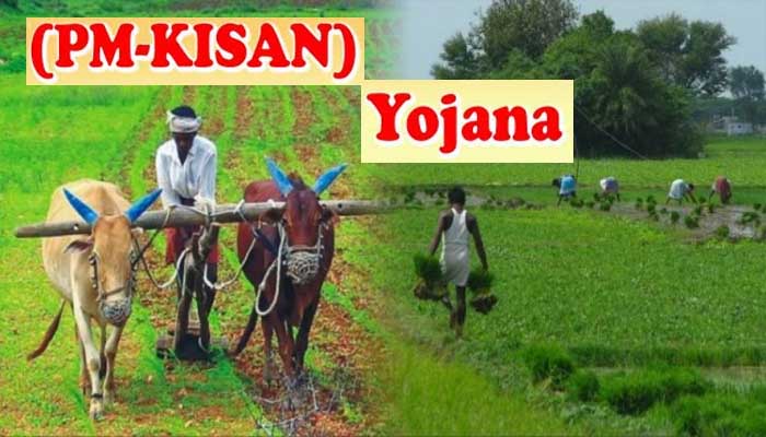 pm kisan scheme