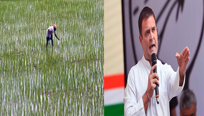 गांधी और शास्‍त्री की जयंती पर कांग्रेस ने फूंका किसान आंदोलन का बिगुल, राहुल करेंगे पंजाब में नेतृत्‍व
