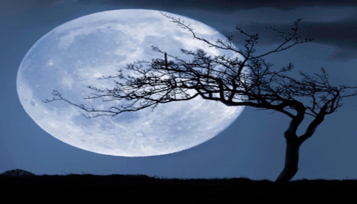 rare phenomenon Blue Moon on October 31 all set to grace the sky
