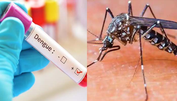 महामारी का ऐसा खौफ: अस्पतालों में भर्ती होने से कतरा रहे डेंगू मरीज, बढ़ रहा प्रकोप